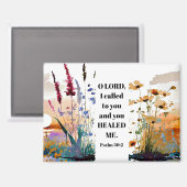 Psalm 30:2 O Herr, du hast mich heilt Christliche Magnet (Vorderseite/Rückseite)