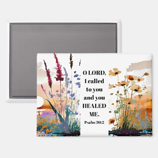 Psalm 30:2 O Herr, du hast mich heilt Christliche Magnet (Vorderseite/Rückseite)