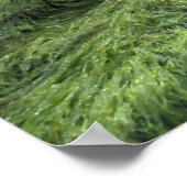 Psalm 30:5 kann durch das NIght-System laufen Poster (Ecke)