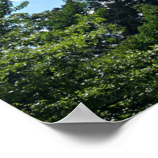 Psalm 32:8 Ich werde dich unterweisen und dir beib Poster (Ecke)