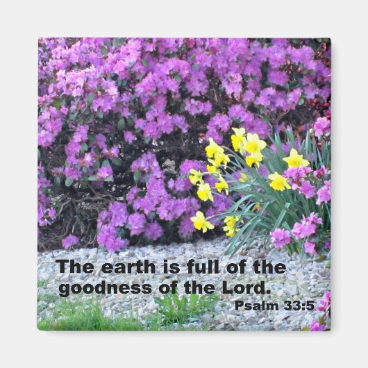 Psalm 33:5 magnet (Vorne)