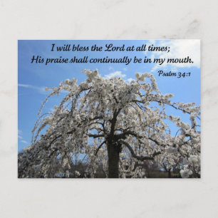 Psalm 34:1 postkarte