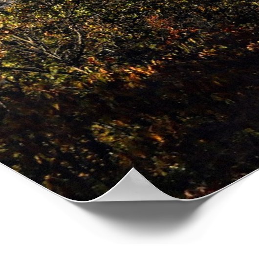 Psalm 34:3 poster (Ecke)