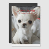 Psalm 36 Einladungen von Chihuahua (Vorne/Hinten)