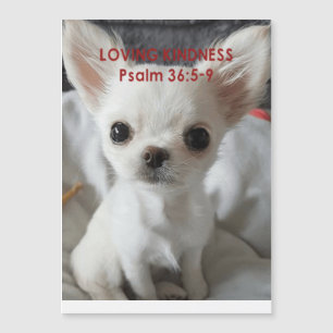 Psalm 36 Einladungen von Chihuahua