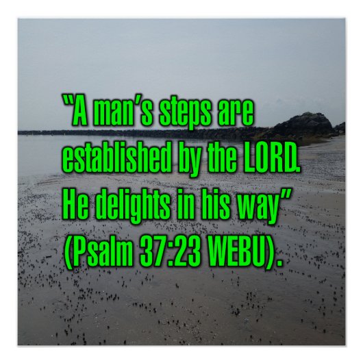Psalm 37:23 WEBU Poster (Vorderseite)