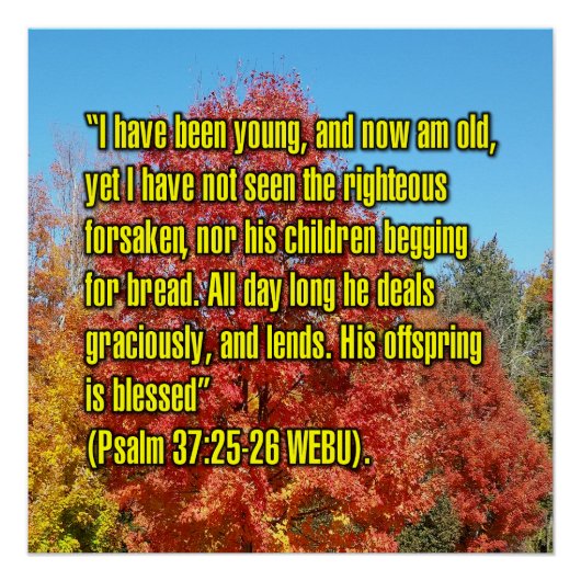 Psalm 37:25-26 WEBU Poster (Vorderseite)