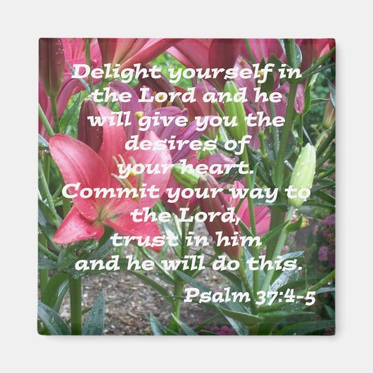 Psalm 37:4-5 magnet (Vorne)