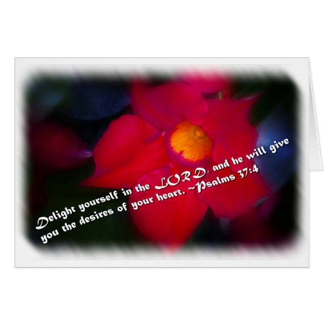 Psalm 37:4 auf Weiß (Vorderseite (Horizontal))