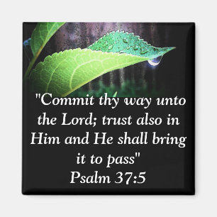 Psalm 37:5 magnet