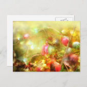 Psalm 37 postkarte (Vorne/Hinten)