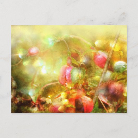 Psalm 37 postkarte (Vorderseite)