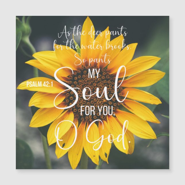 Psalm 42:1 als Christliche Hirschblüte Magnetkarte (Vorderseite)