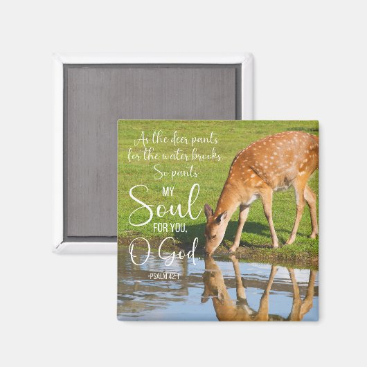 Psalm 42:1 Als Hirschpflanzen für die Wasserblase Magnet (Vorderseite/Rückseite)