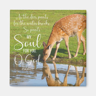 Psalm 42:1 Als Hirschpflanzen für die Wasserblase Magnet