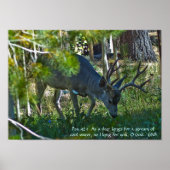 Psalm 42:1 Poster (Vorne)