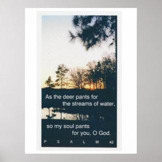 Psalm 42:1 Sonnenuntergang Poster