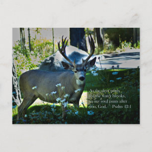 Psalm 42:1 und Hirsch Postkarte