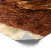 Psalm 46:10 Alpaca-Poster Poster (Ecke)