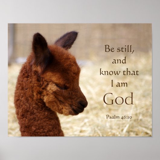 Psalm 46:10 Alpaca-Poster Poster (Vorne)