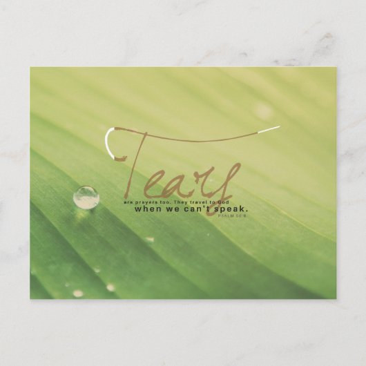 Psalm 56:8 - Auch Tränen sind Gebete Postkarte (Vorderseite)
