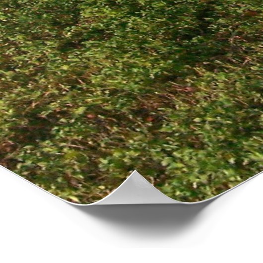 Psalm 62:8 Psalm der Ermutigung Poster (Ecke)