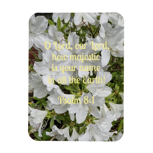 Psalm 8:1 O Herr, unser Herr, wie majestätisch ist Magnet (Vertikal)