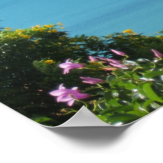 Psalm 8:1 O Herr, unser Herr, wie majestätisch ist Poster (Ecke)