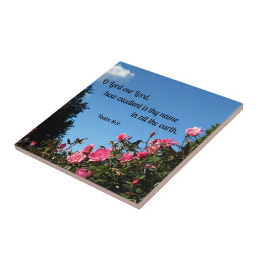 Psalm 8:9 O Herr, unser Herr, wie hervorragend ist Fliese (Seite)