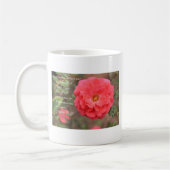 Psalm-91:14 pfirsichfarbene rosa Rose Kaffeetasse (Links)