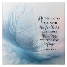 Psalm 91:4 Er wird dich mit Seinen Federn bedecken