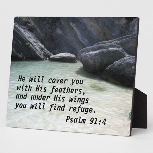 Psalm 91:4 Er wird dich mit seinen Federn bedecken Fotoplatte (Seite)