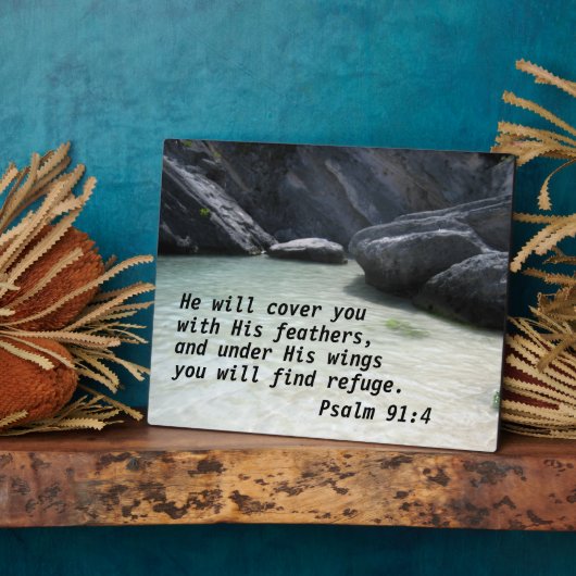 Psalm 91:4 Er wird dich mit seinen Federn bedecken Fotoplatte (Seite)