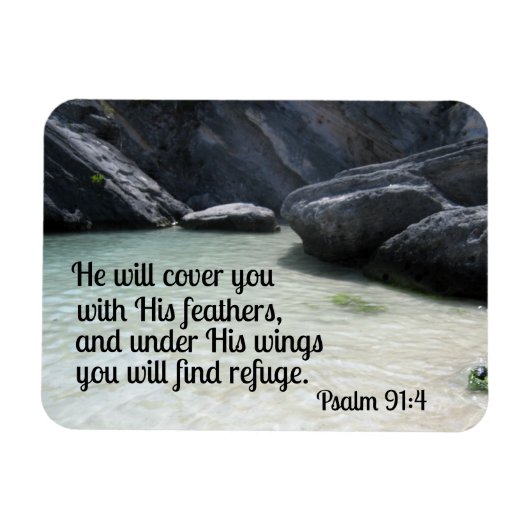 Psalm 91:4 Er wird dich mit seinen Federn bedecken Magnet (Horizontal)