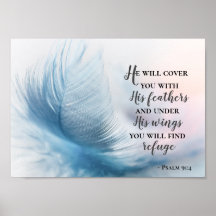 Psalm 91:4 Er wird dich mit Seinen Federn bedecken
