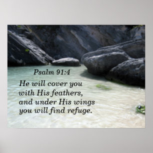 Psalm 91:4 Er wird dich mit seinen Federn bedecken Poster