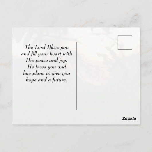 Psalm 91:4 Er wird dich mit Seinen Federn bedecken Postkarte (Rückseite)