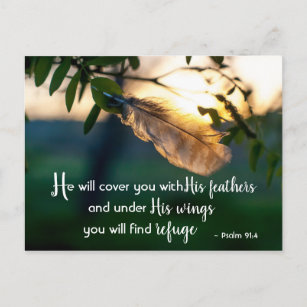 Psalm 91:4 Er wird dich mit Seinen Federn bedecken Postkarte