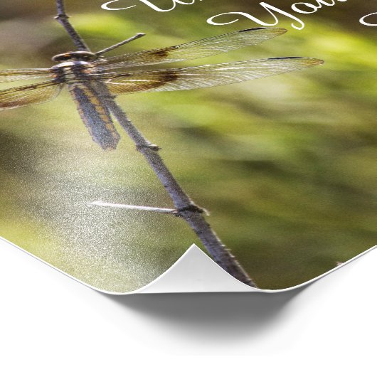 Psalm 91:4 mit Libellen Fotodruck (Ecke)