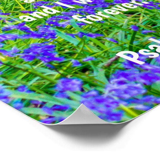 Psalm 91 auf Blausteinwald, Plakat (Ecke)