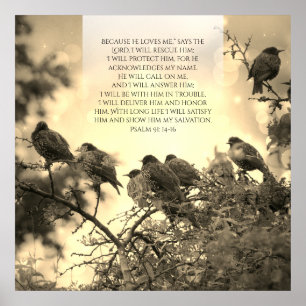 Psalm 91, christliches Plakat mit Vögeln auf dem