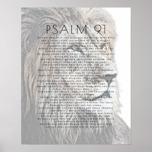 Psalm 91 Löwenkopf Christliches Poster (Vorne)
