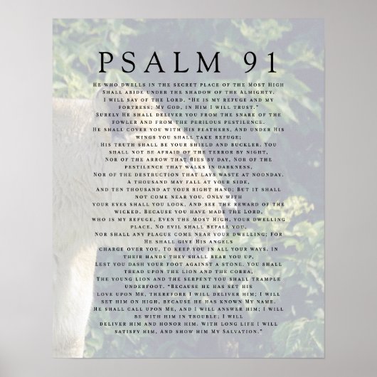 Psalm 91 Löwenkopf Christliches Poster (Vorne)