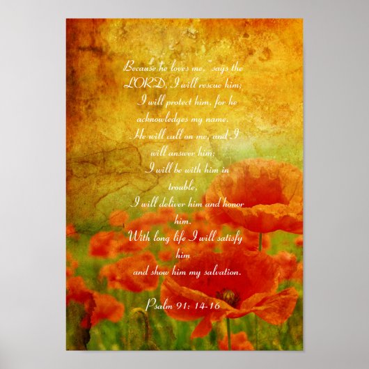Psalm 91 Pappenposter Poster (Vorne)