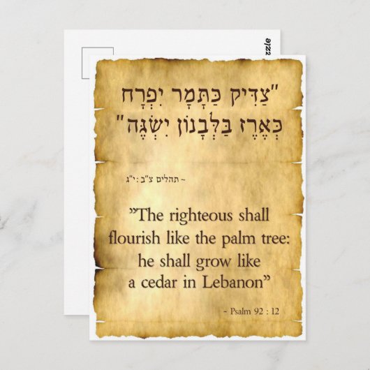Psalm 92:12 Hebräisch und Englisch Postkarte (Vorne/Hinten)