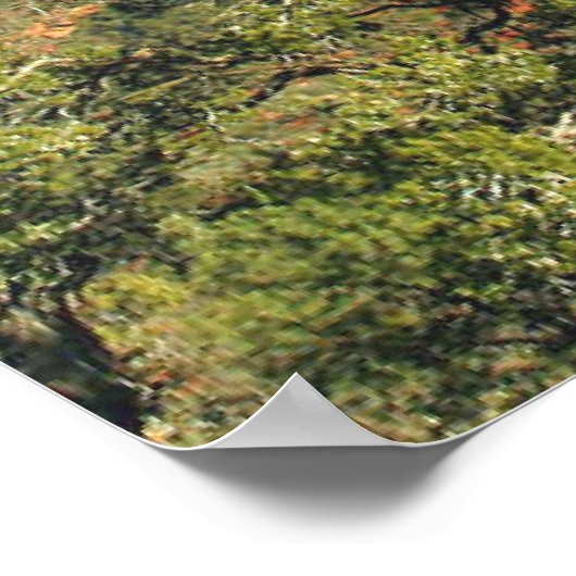 Psalm 92:13-15 Schrift Drucken Poster (Ecke)