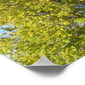 Psalm 92 Blue Sky Poster (Ecke)