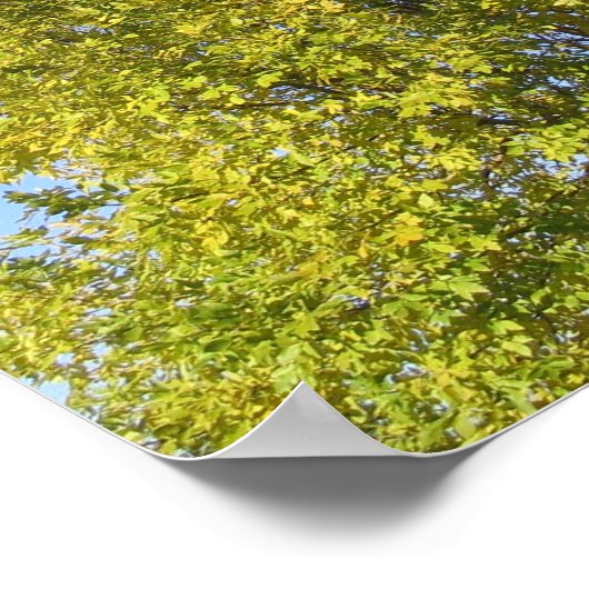 Psalm 92 Blue Sky Poster (Ecke)