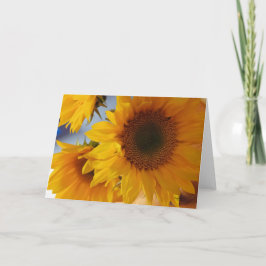 Psalm 96:1 Sonnenblumen Blanko Karte