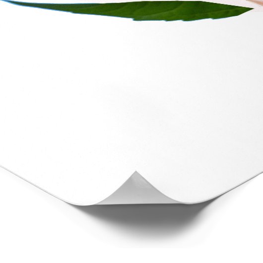 Psalm 9:1, Bibelverse Poster (Ecke)